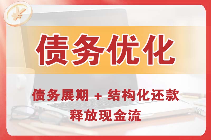百色债务优化